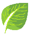 eco-responsable